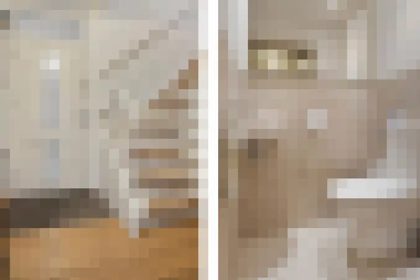 Gewandeweg 42 Oss thumbnail 8