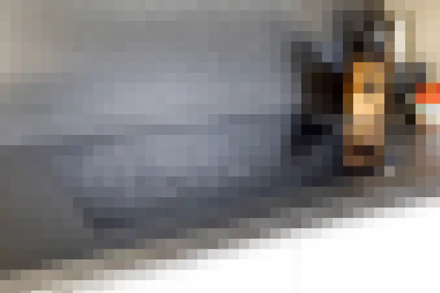 Gewandeweg 46 Oss thumbnail 17