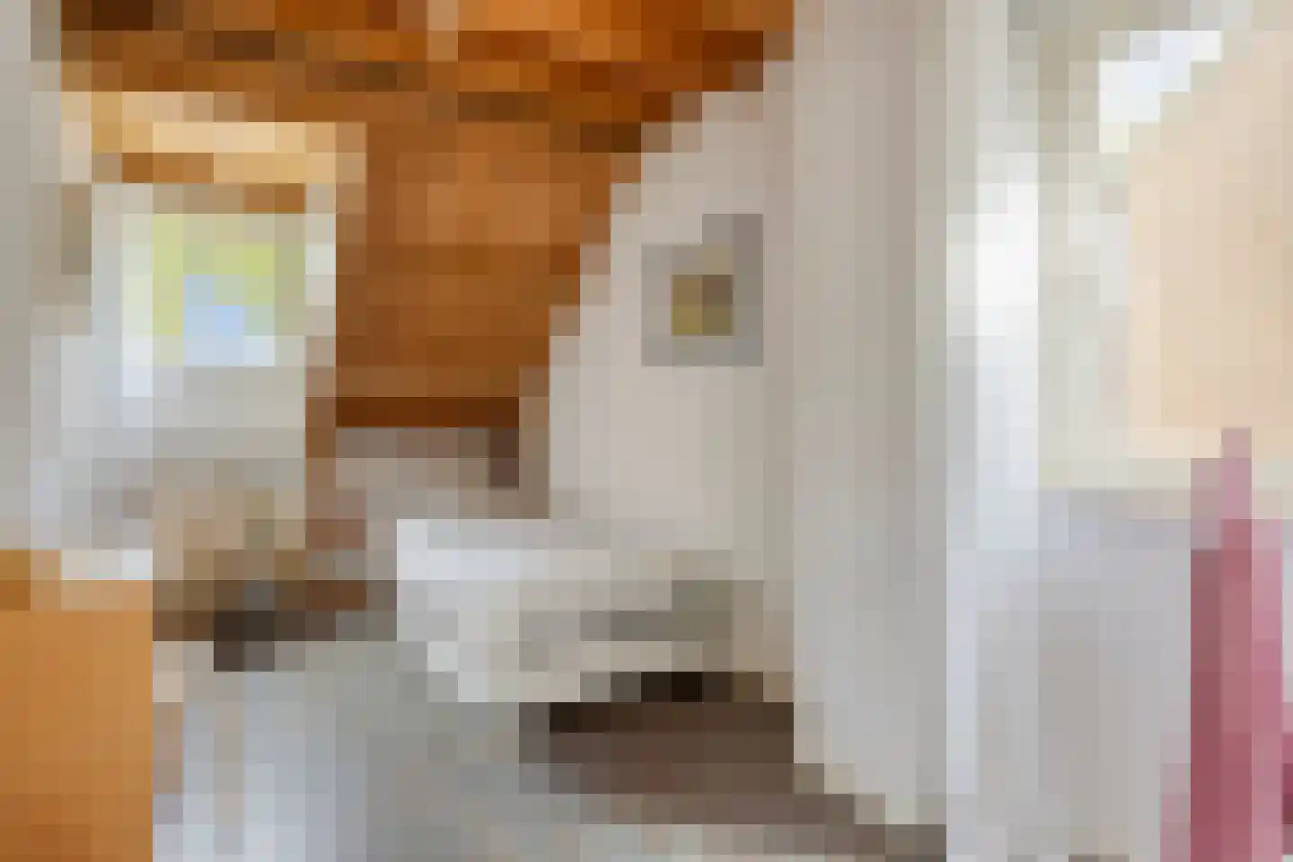 Gewandeweg 46 Oss thumbnail 25