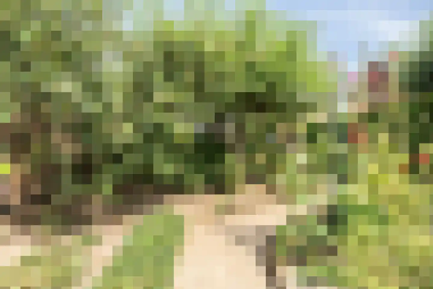 Gewandeweg 46 Oss thumbnail 38
