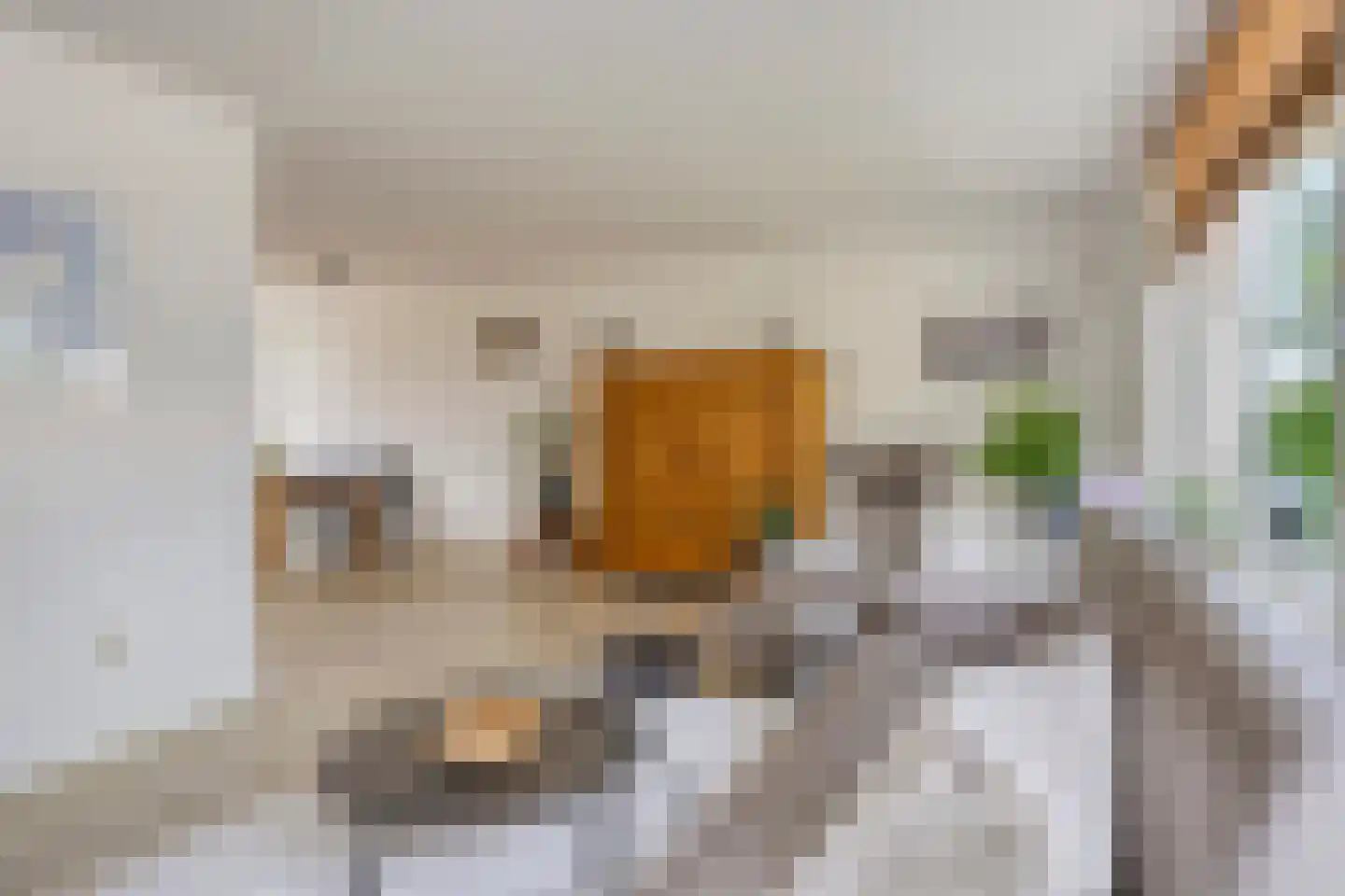 Gewandeweg 46 Oss thumbnail 8