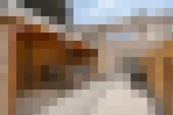 Gewandeweg 5 Oss thumbnail 24