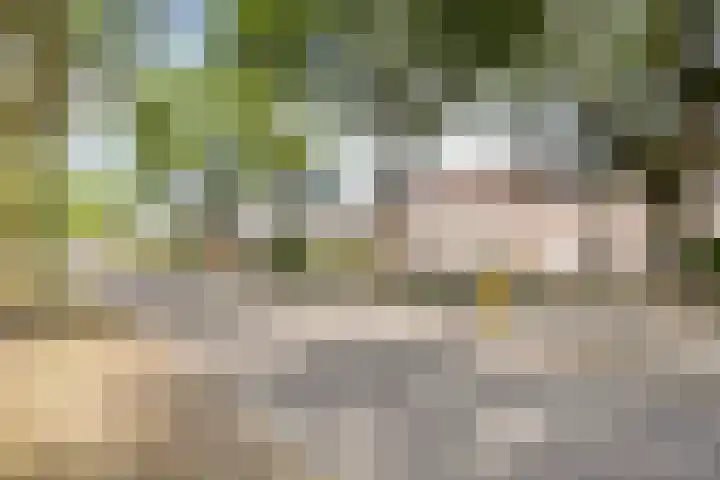 Gewandeweg 5 Oss thumbnail 31