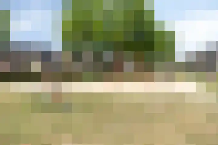 Gewandeweg 5 Oss thumbnail 32