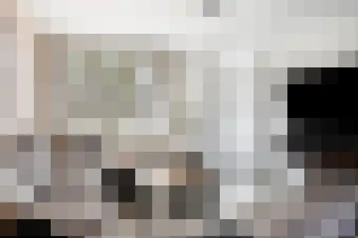 Gewandeweg 5 Oss thumbnail 5
