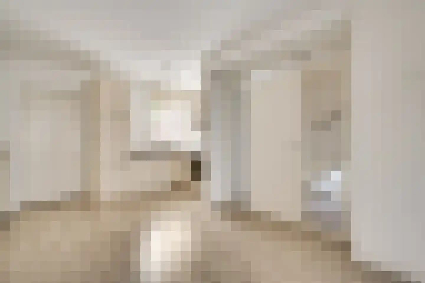 Gewantmakerstraat 31 Roermond thumbnail 7