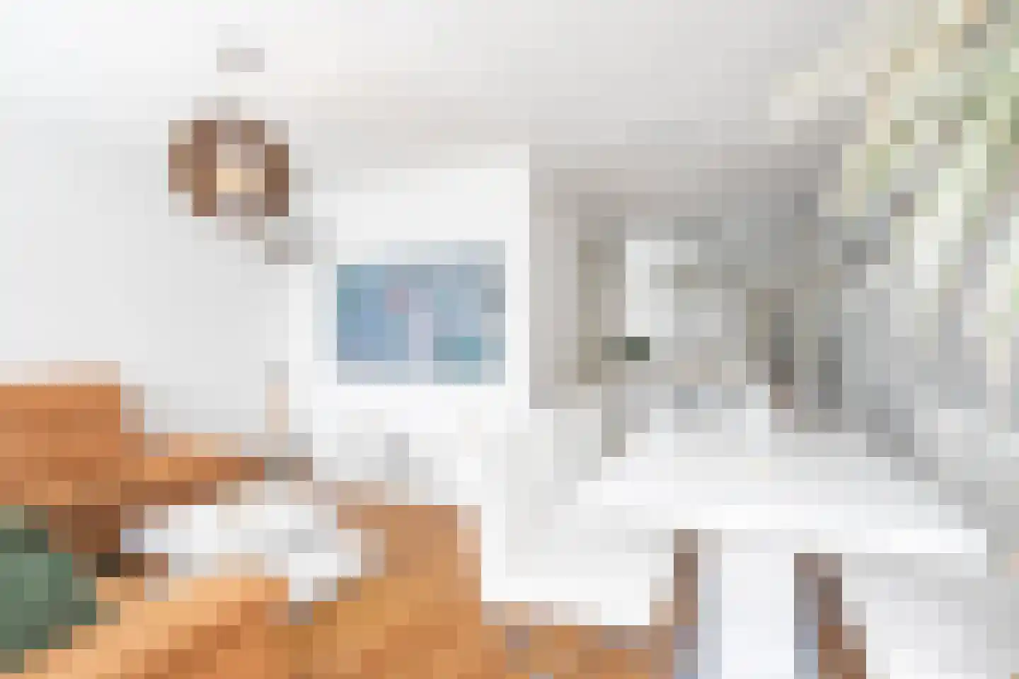 Gewantmakerstraat 33 Roermond thumbnail 5