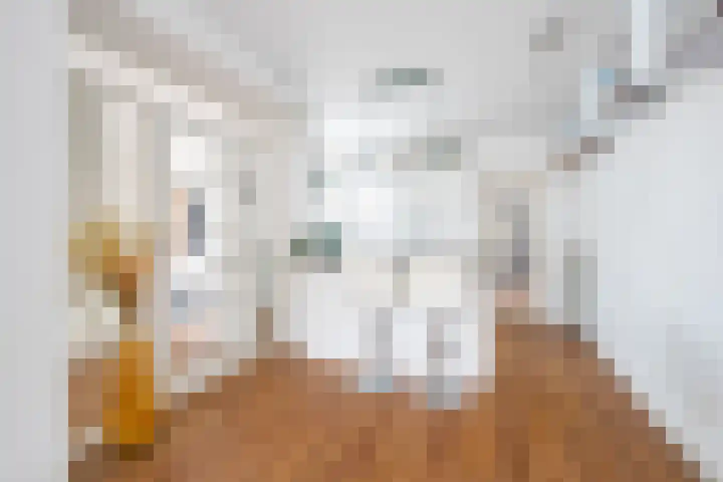 Gewantmakerstraat 33 Roermond thumbnail 7