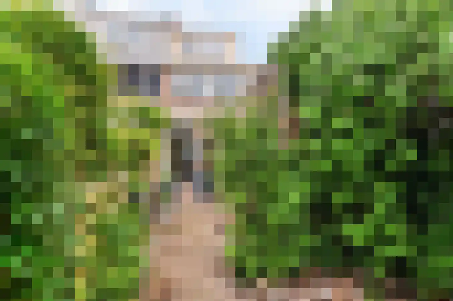 Geweerstraat 14 Haarlem thumbnail 19