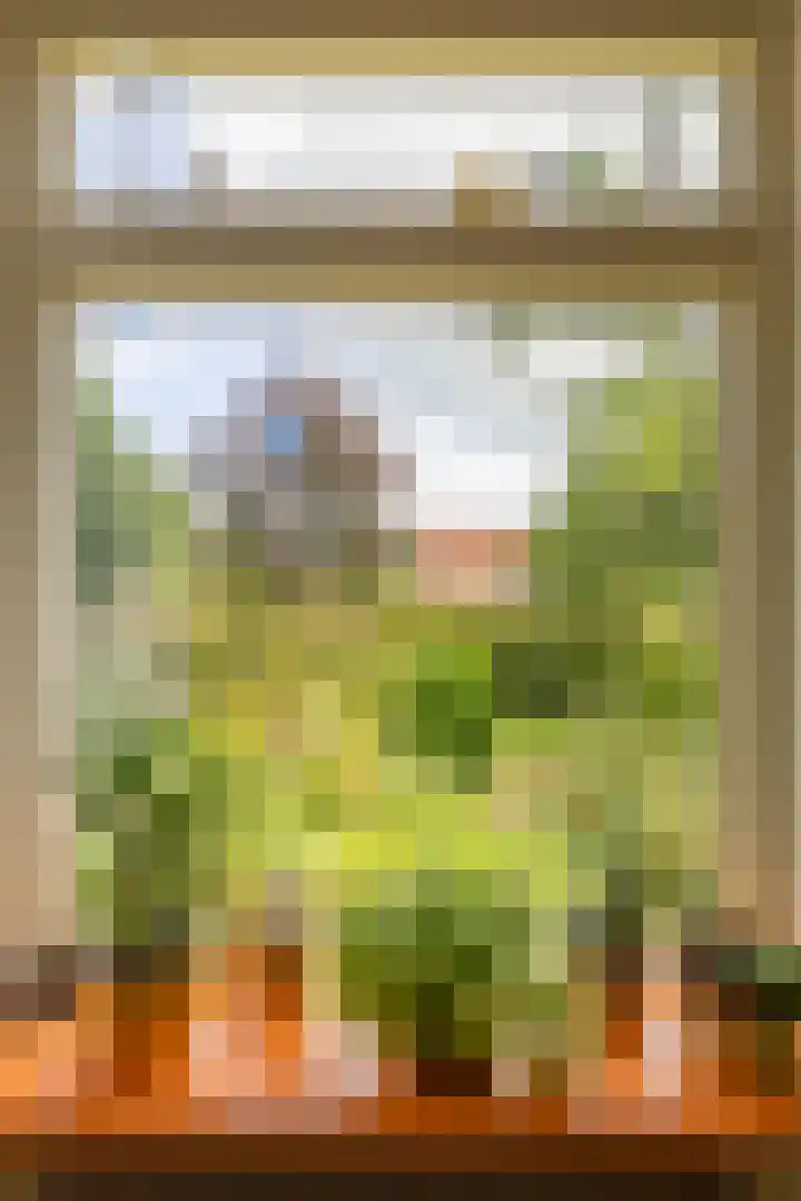 Geweideweg 15 Garmerwolde thumbnail 21