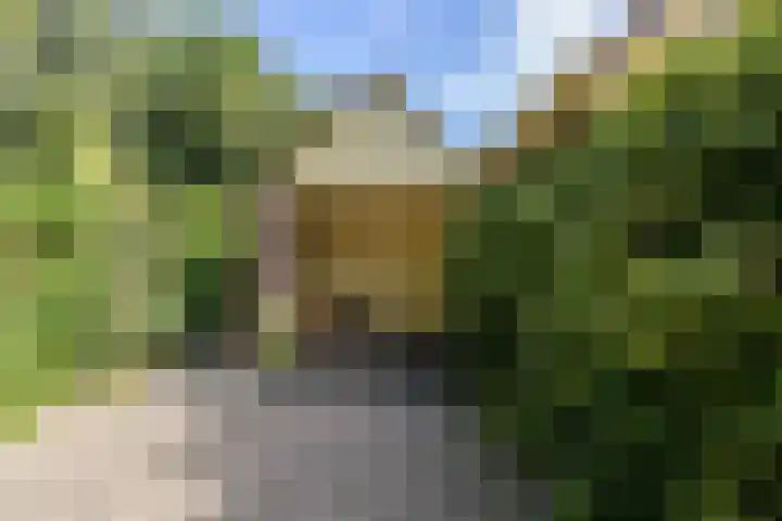 Geweideweg 15 Garmerwolde thumbnail 34