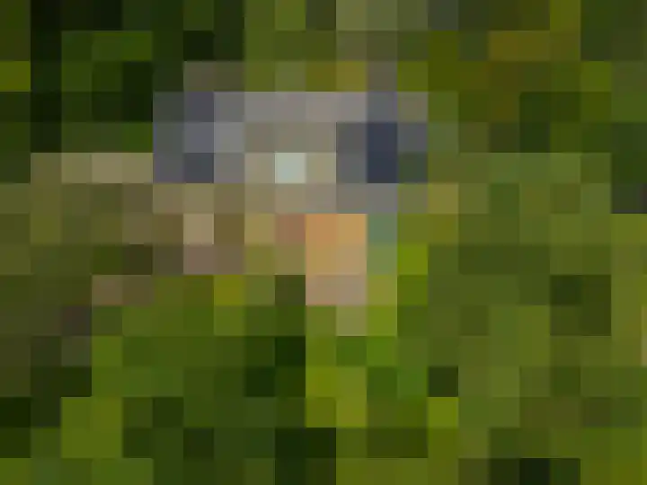 Geweideweg 15 Garmerwolde thumbnail 39