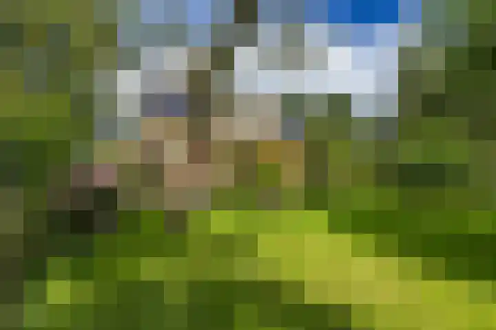 Geweideweg 15 Garmerwolde thumbnail 4