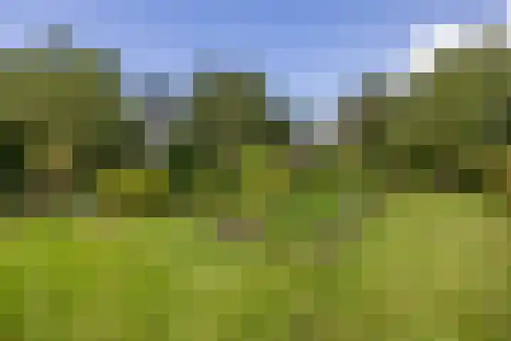 Geweideweg 15 Garmerwolde thumbnail 45