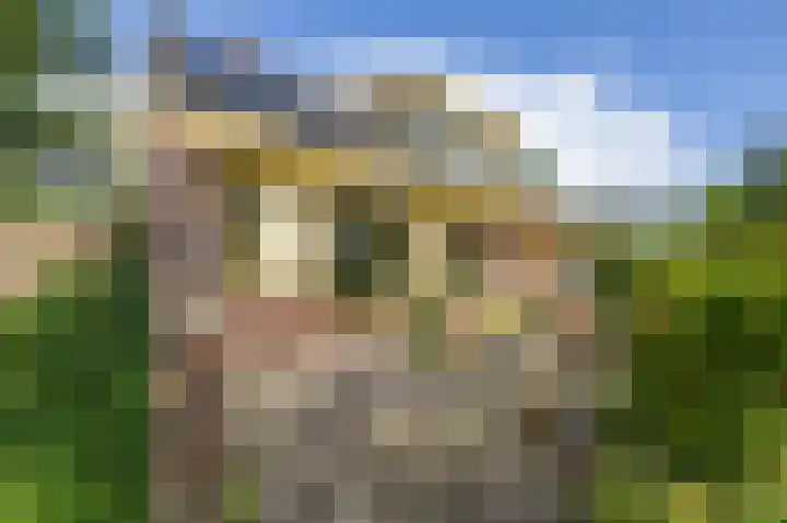 Geweideweg 15 Garmerwolde thumbnail 5