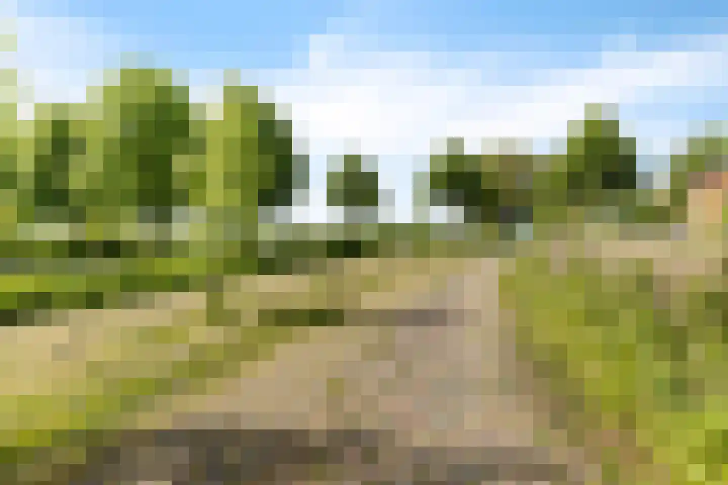 Geweideweg 3 Garmerwolde thumbnail 11