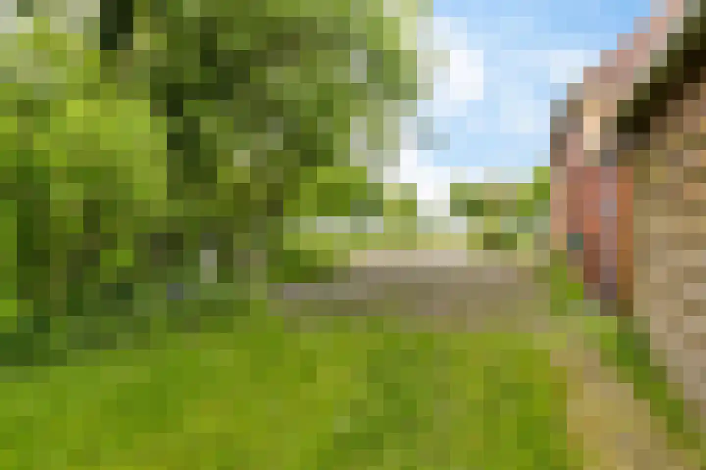 Geweideweg 3 Garmerwolde thumbnail 13