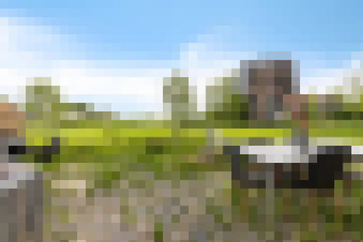 Geweideweg 3 Garmerwolde thumbnail 19