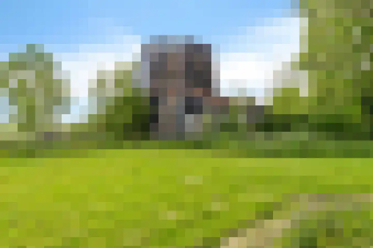 Geweideweg 3 Garmerwolde thumbnail 20