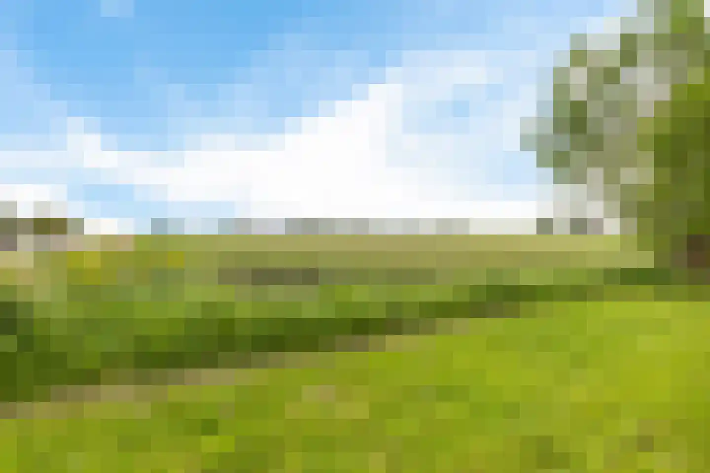 Geweideweg 3 Garmerwolde thumbnail 21