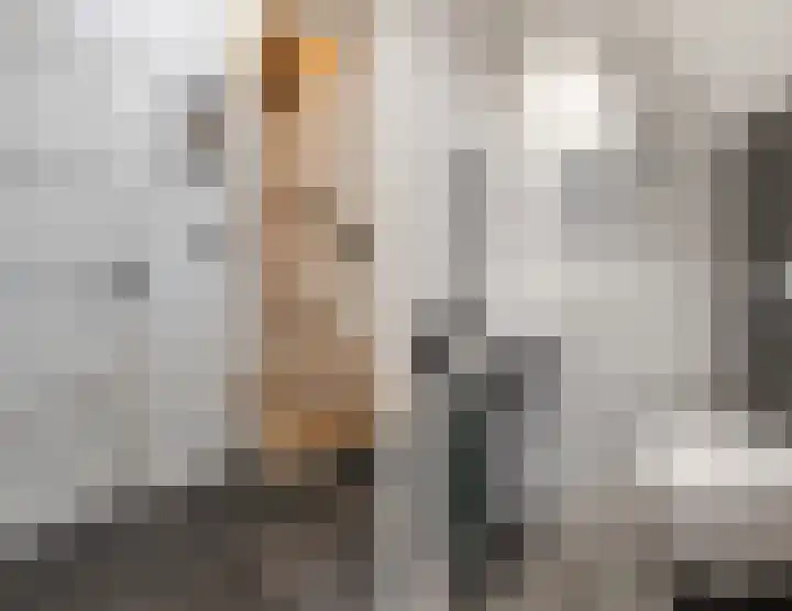 Geweldigerstraat 24 Bergen op Zoom thumbnail 10