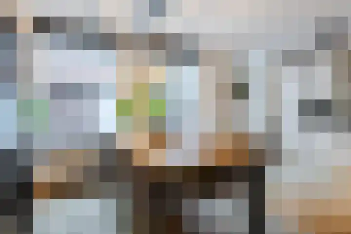 Geweldigerstraat 24 Bergen op Zoom thumbnail 18