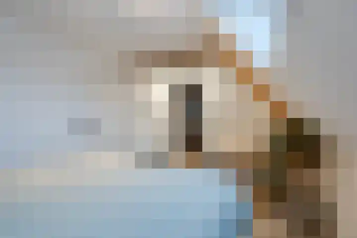 Geweldigerstraat 24 Bergen op Zoom thumbnail 36