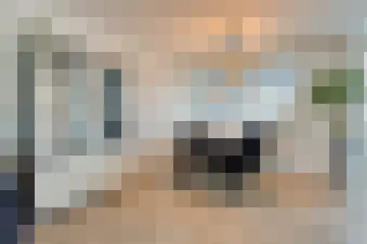 Gewelf 62 Beuningen Gld thumbnail 10