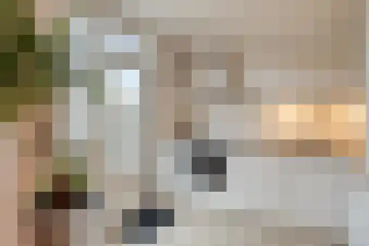 Gewelf 62 Beuningen Gld thumbnail 12