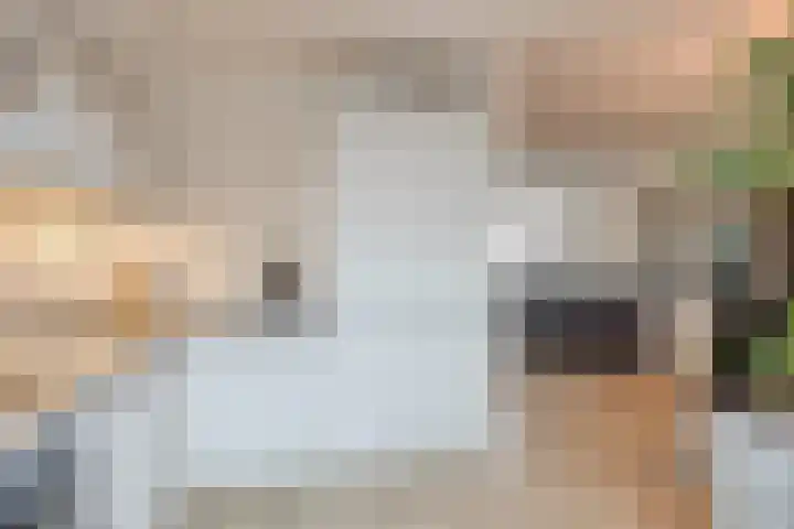 Gewelf 62 Beuningen Gld thumbnail 13