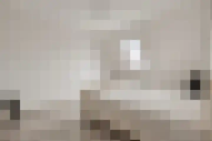 Gewelf 62 Beuningen Gld thumbnail 16