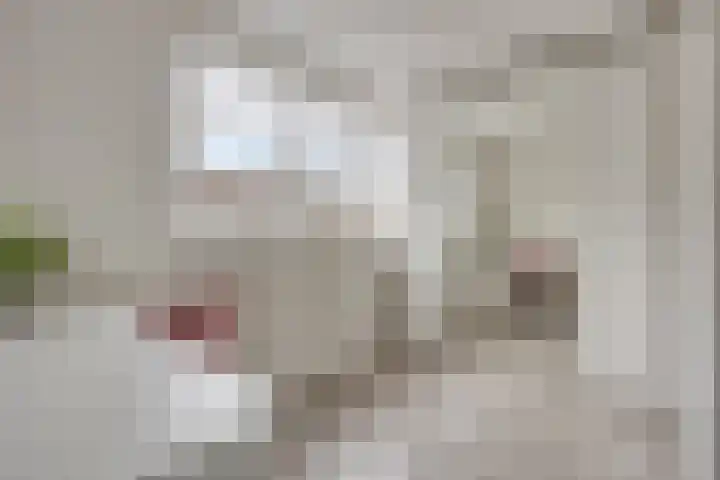 Gewelf 62 Beuningen Gld thumbnail 18