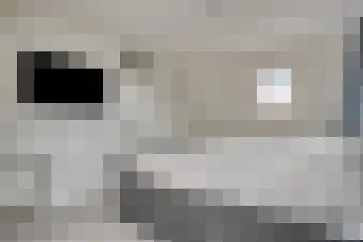 Gewelf 62 Beuningen Gld thumbnail 22