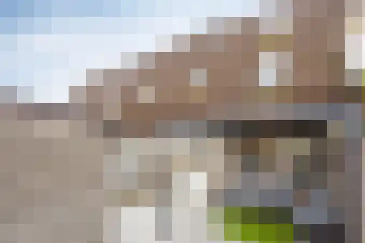 Gewelf 62 Beuningen Gld thumbnail 26