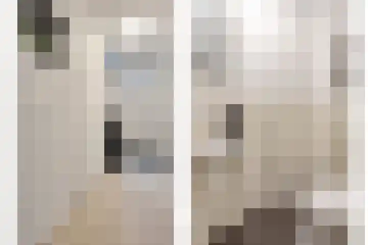 Gewelf 62 Beuningen Gld thumbnail 6