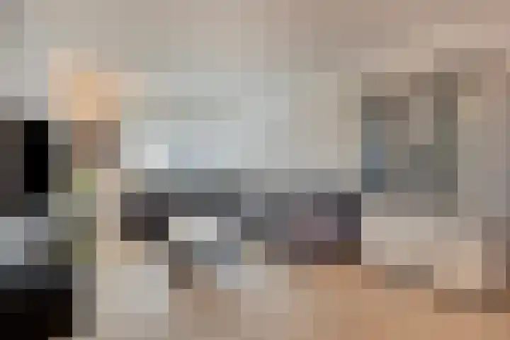 Gewelf 62 Beuningen Gld thumbnail 7