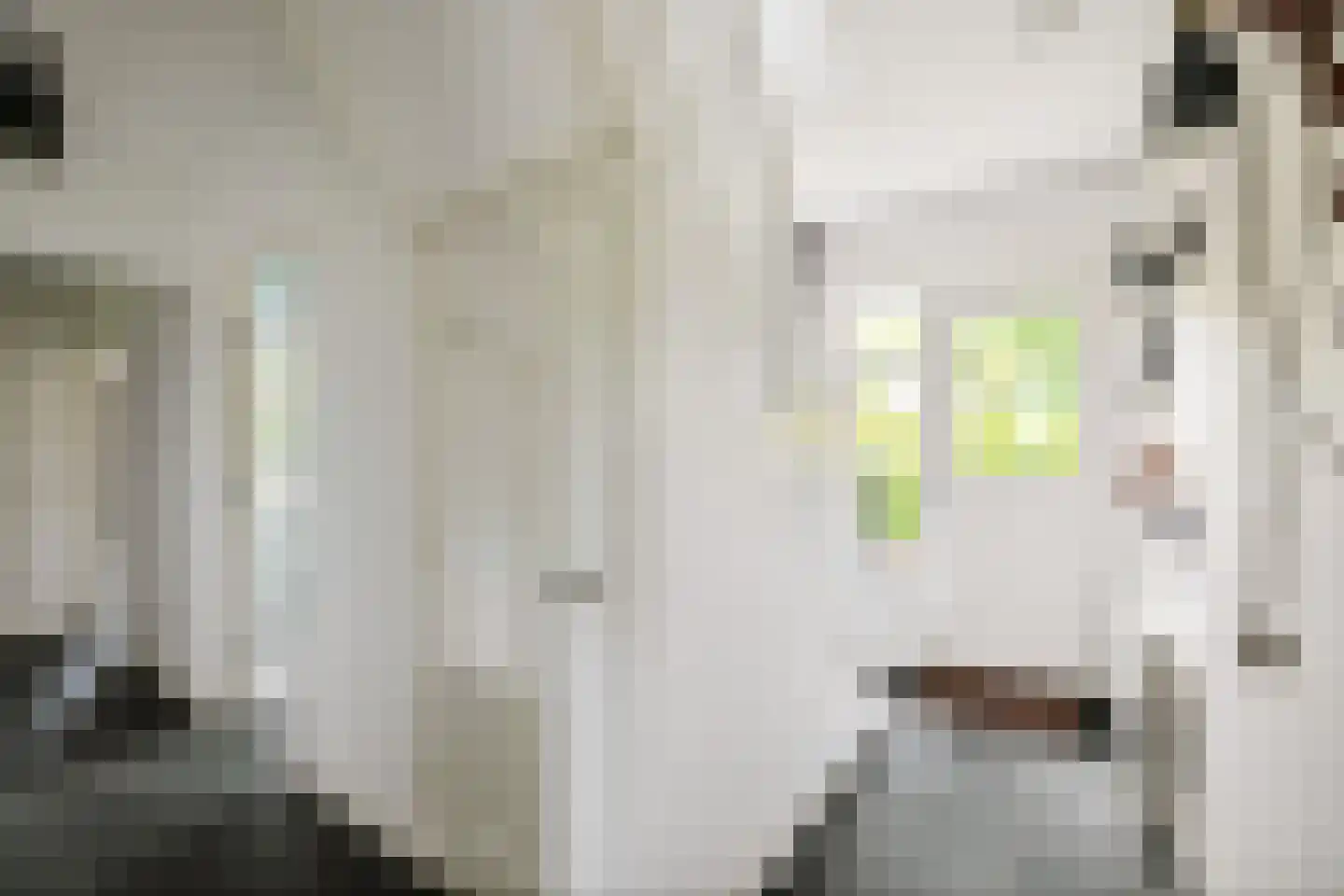 Gewestlaan 2 Diepenveen thumbnail 23
