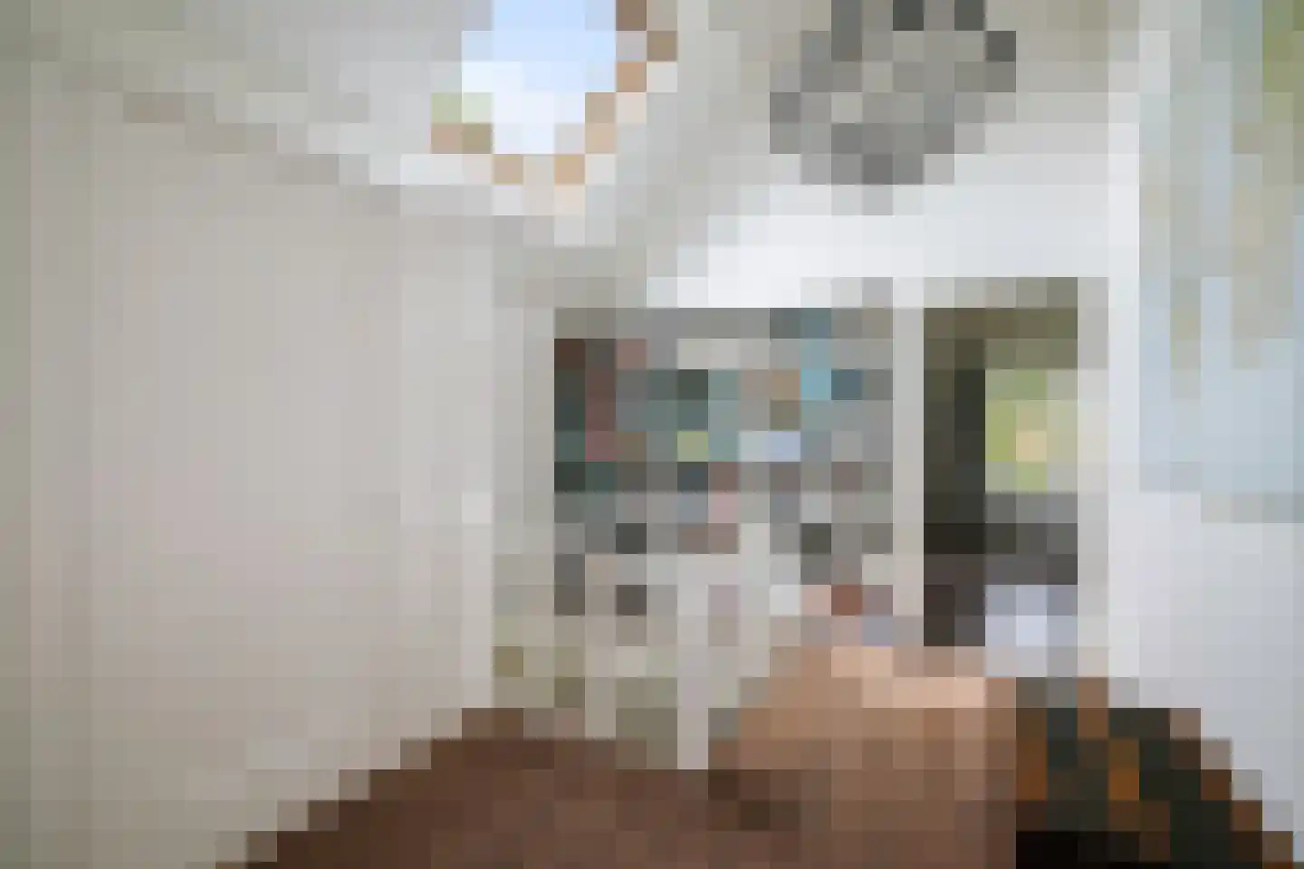 Gewestlaan 2 Diepenveen thumbnail 25