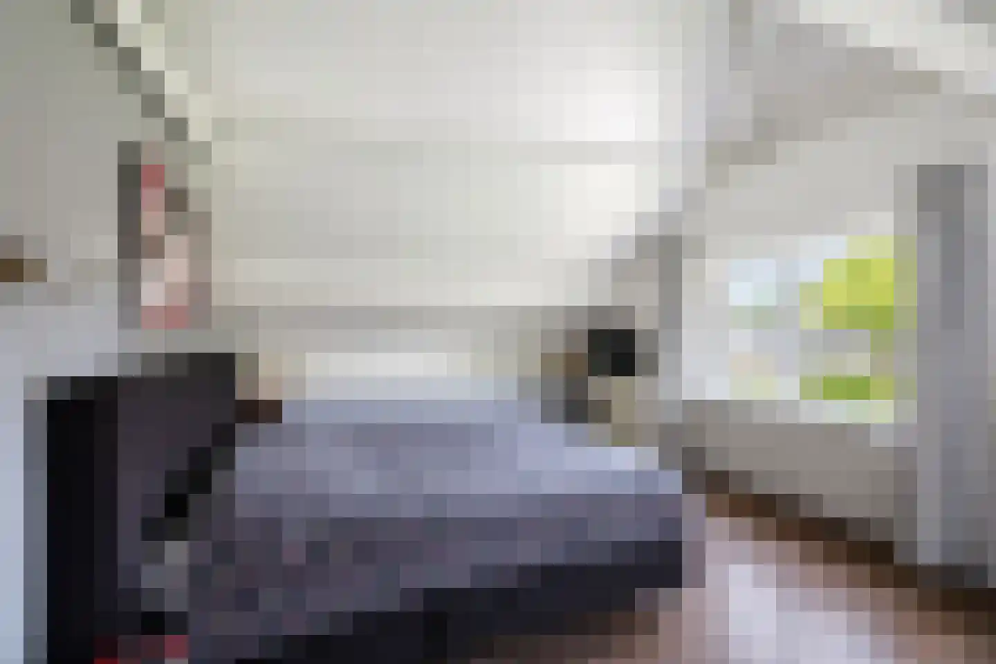 Gewestlaan 2 Diepenveen thumbnail 27