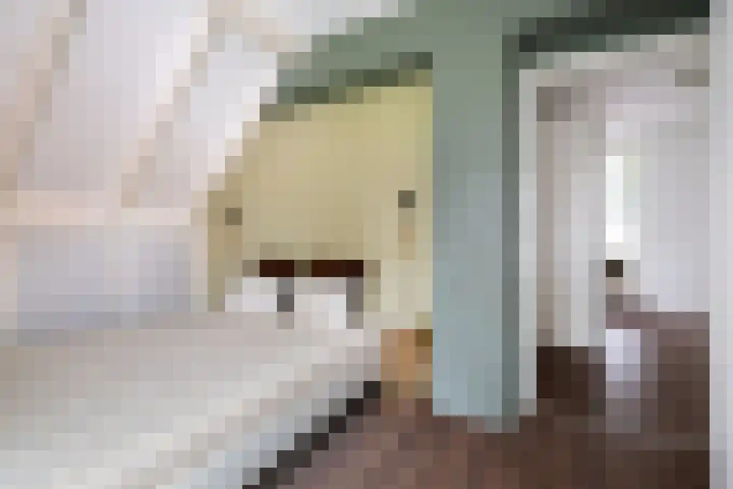 Gewestlaan 2 Diepenveen thumbnail 35