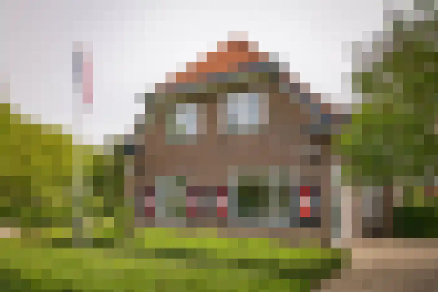 Gewestlaan 2 Diepenveen thumbnail 39