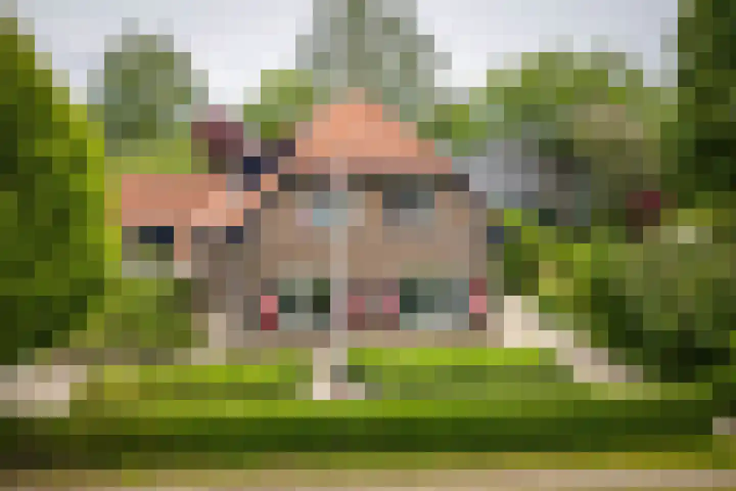 Gewestlaan 2 Diepenveen thumbnail 40