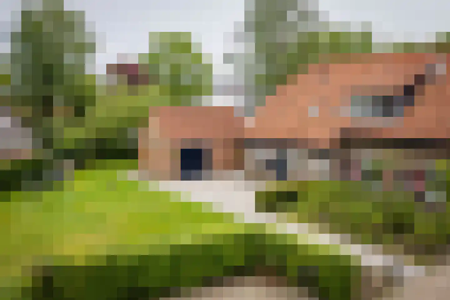 Gewestlaan 2 Diepenveen thumbnail 43