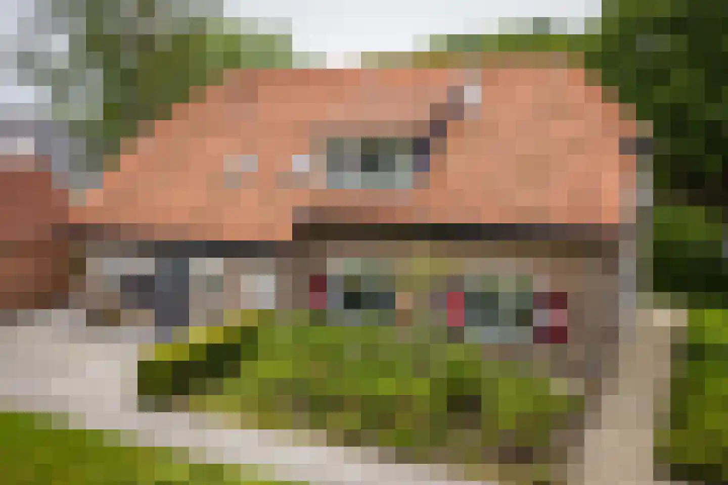 Gewestlaan 2 Diepenveen thumbnail 44