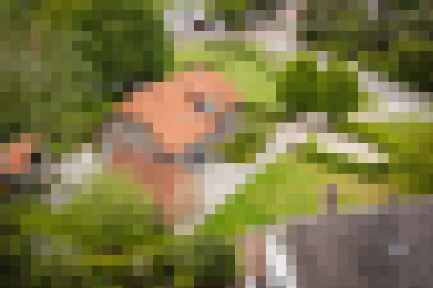 Gewestlaan 2 Diepenveen thumbnail 48