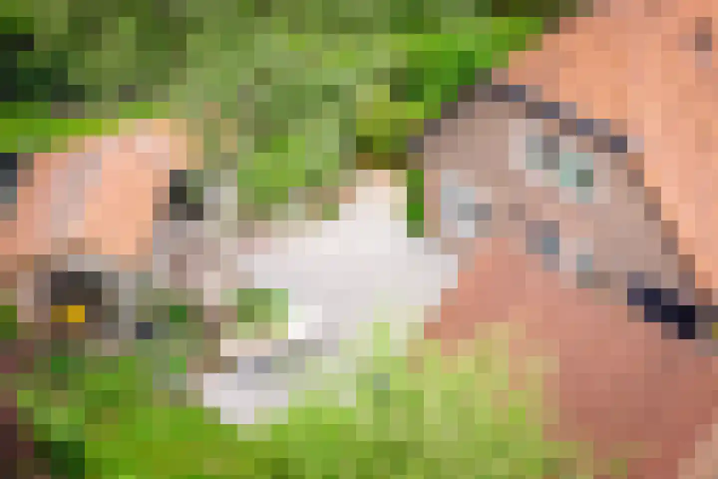 Gewestlaan 2 Diepenveen thumbnail 49