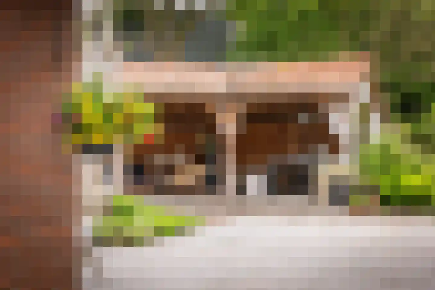 Gewestlaan 2 Diepenveen thumbnail 51