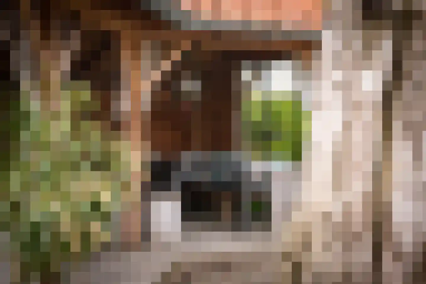 Gewestlaan 2 Diepenveen thumbnail 53