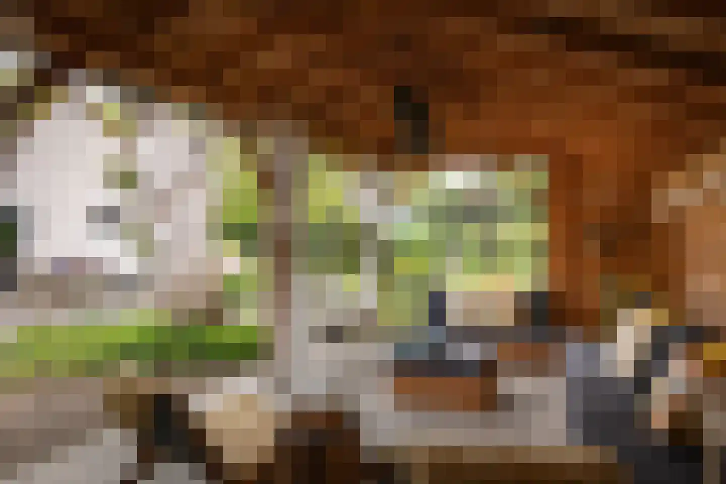 Gewestlaan 2 Diepenveen thumbnail 54
