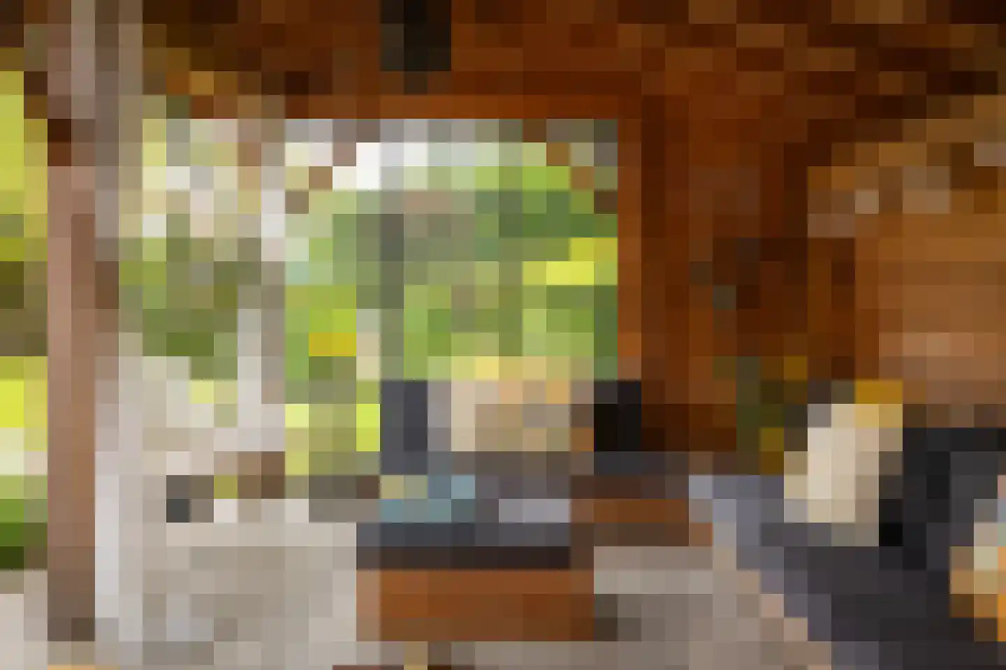 Gewestlaan 2 Diepenveen thumbnail 55